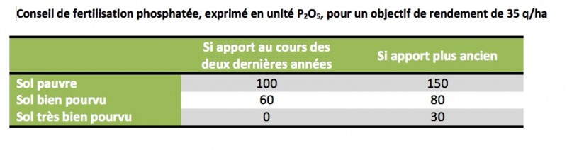 semis%20colza%20tableau.jpg