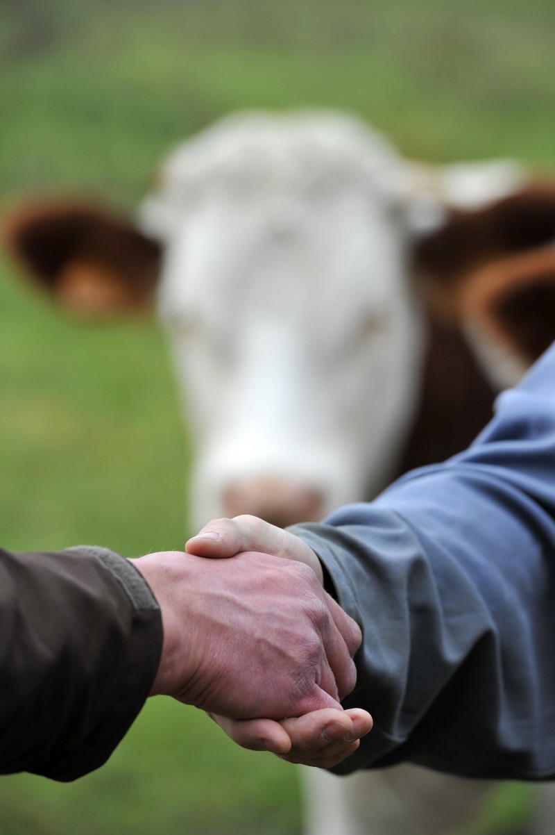 poignée de mains, crise agricole