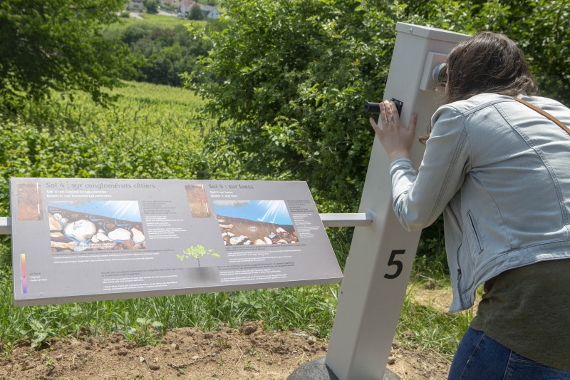 geovino-riquewihr-2018_06.jpg