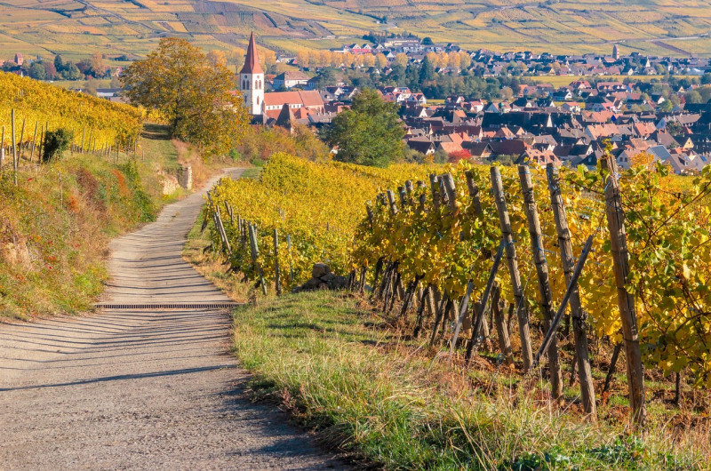 Vignoble, Ammerschwihr