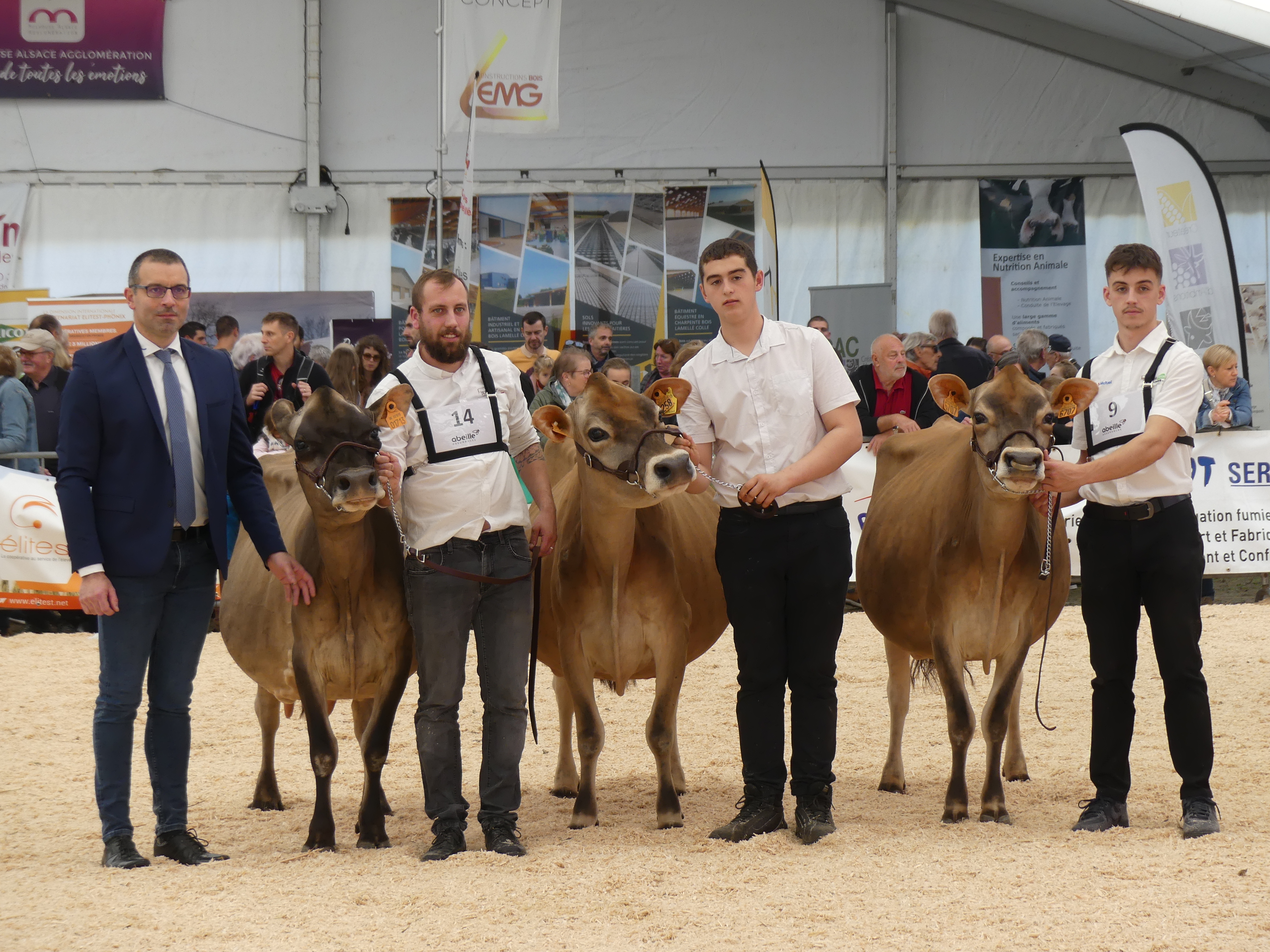 Jersiaise, concours d'Habsheim, Habsheim 2024