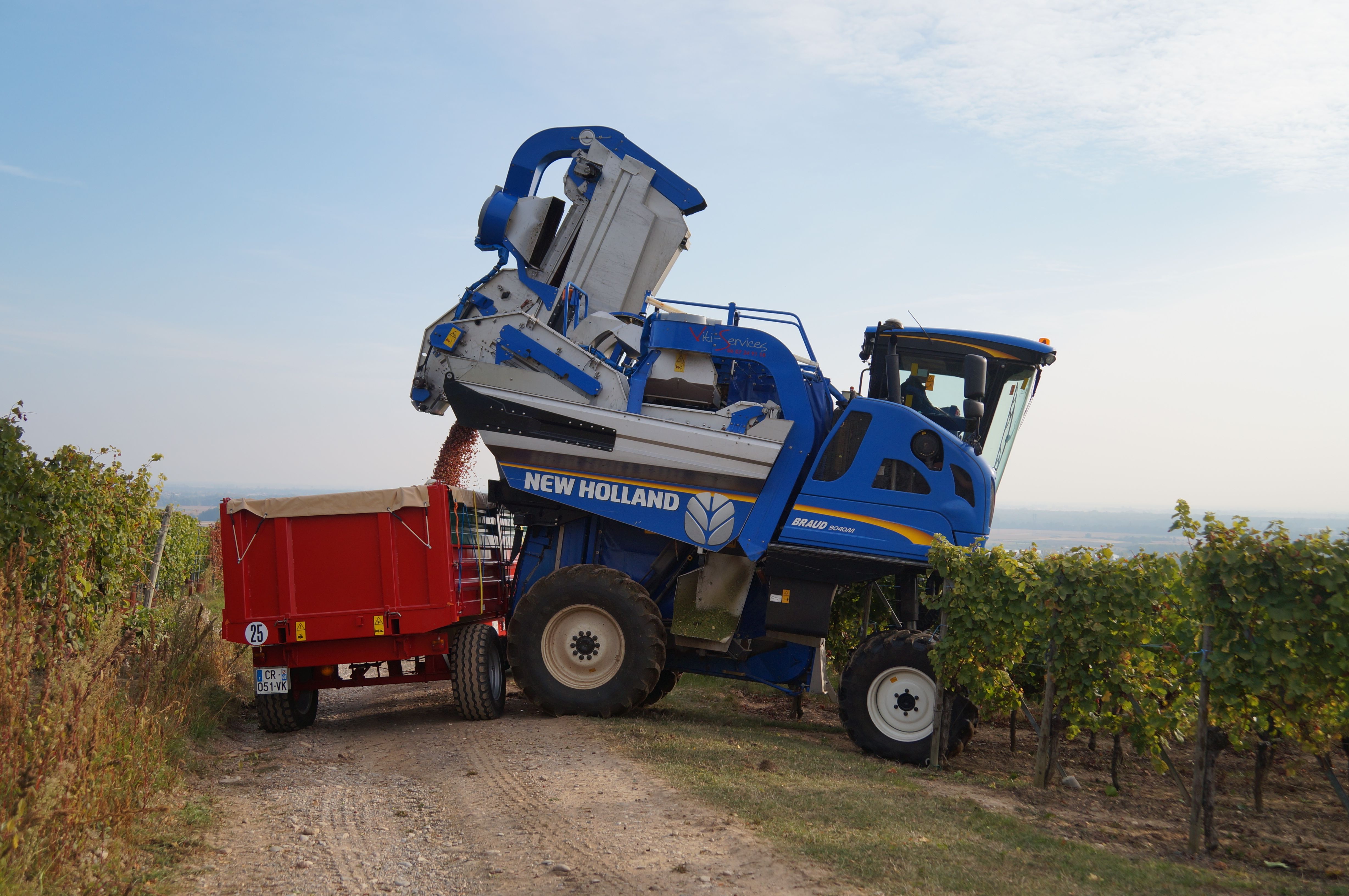 Vendanges mécaniques 13101601.jpg