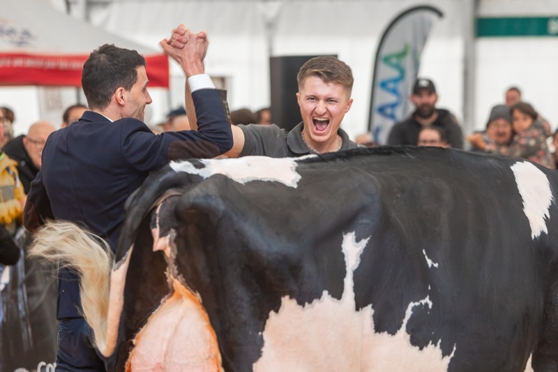 concours_prim-holstein_habsheim-2026_63.jpg