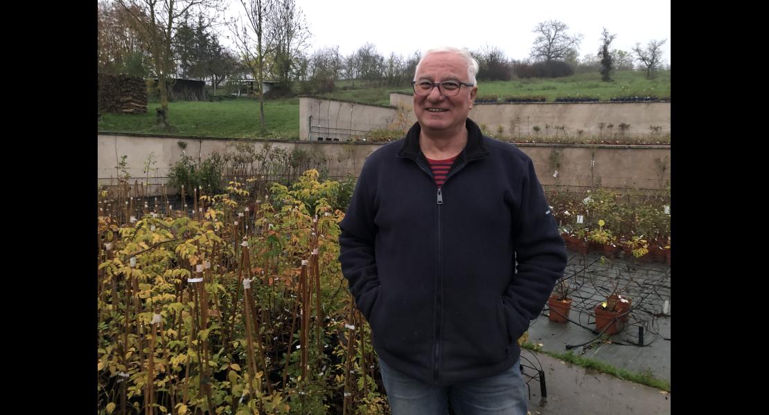 Rene_Barth_roseraie_rose_rosier_pots_plateforme_Lochwiller_novembre_2024.JPG