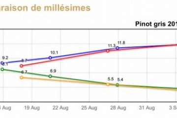 Maturité PG