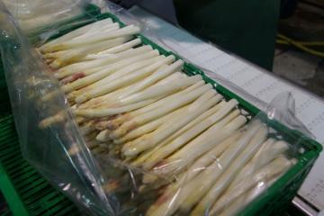 Asperges 2016058.jpg