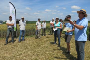 Plateforme-blé-2018-IMG_3230.JPG