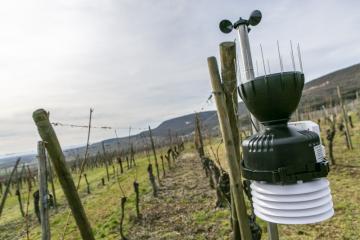 station-meteo-cac_07.jpg