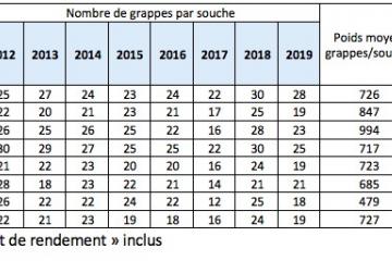 prévision rendement 2019