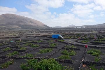 Lanzarote