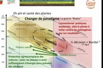 Diagramme RedOX