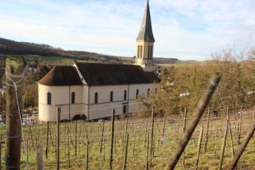 20210122_closdelours_01.JPG