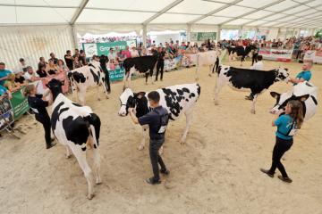 FDLE 2022 - Concours Prim'Holstein - 05.jpg