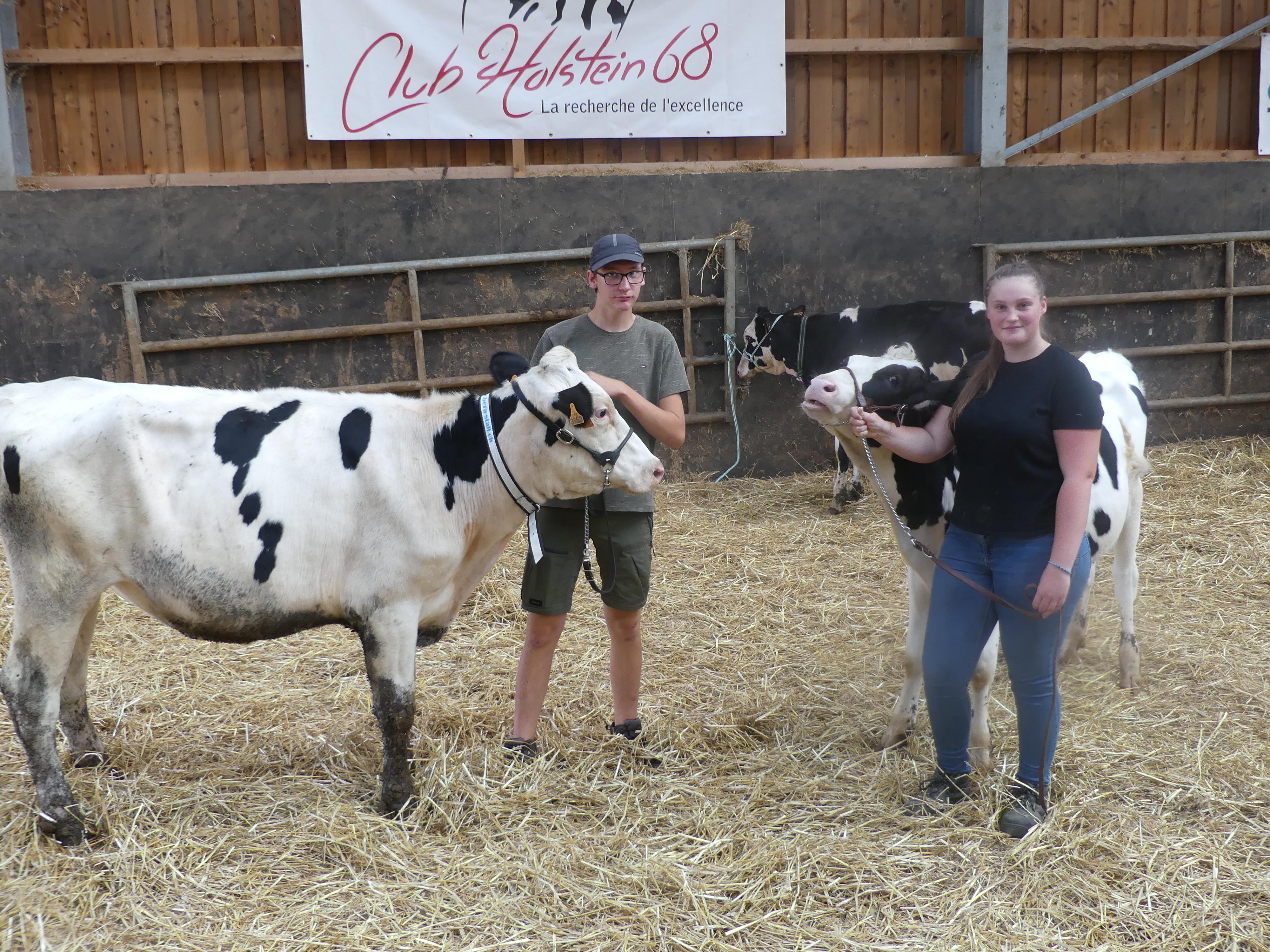 Ecole des jeunes présentateurs, EBHR, Club Holstein 68, Syndicat Montbéliard du Haut-Rhin