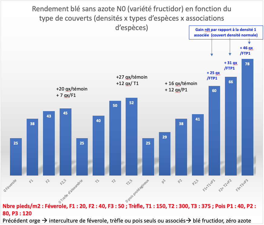 Rendements blé après légumienuses