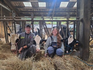 clara siess   lucas rein   3 génisses pour Habsheim